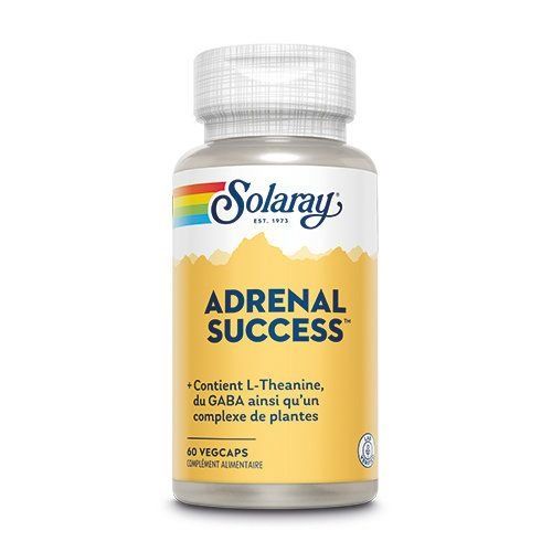 Adrenal success 60 gélules végétales
